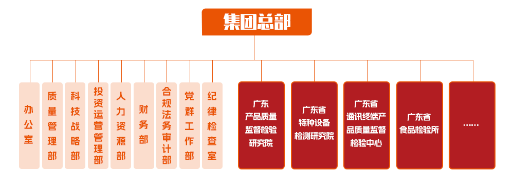 分支.png